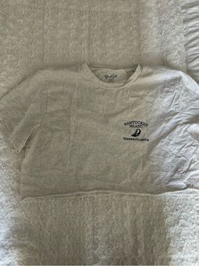 Brandy Melville Nantucket t shirt cut crop top